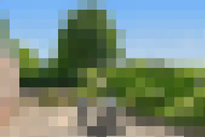 Kerkstraat 19 Baexem thumbnail 20