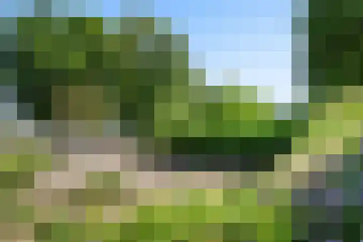 Kerkstraat 19 Baexem thumbnail 21