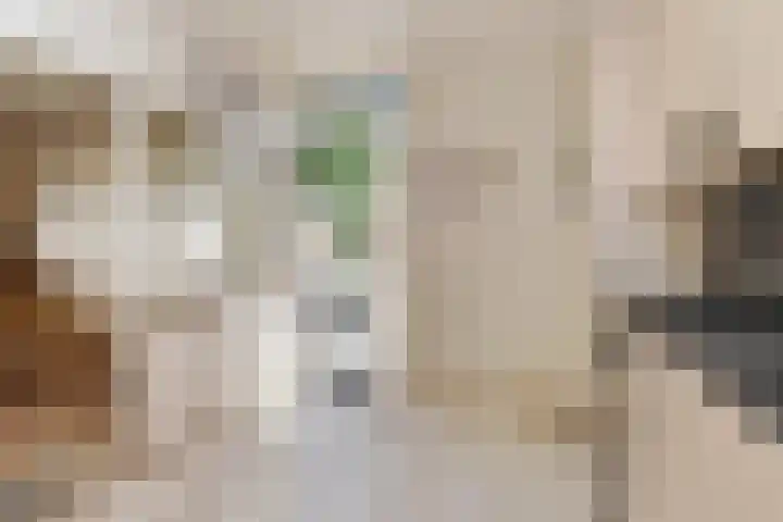 Kerkstraat 19 Baexem thumbnail 5