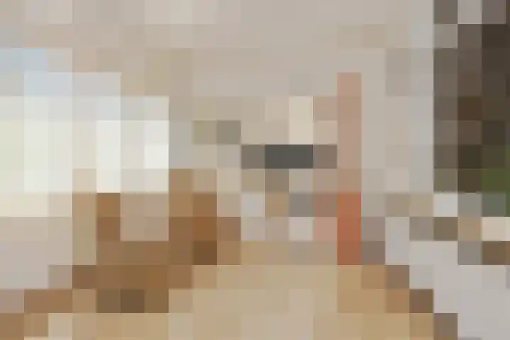 Kerkstraat 19 Baexem thumbnail 8