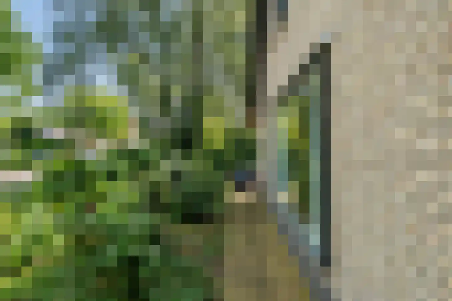 Kerkstraat 19 Bennekom thumbnail 8