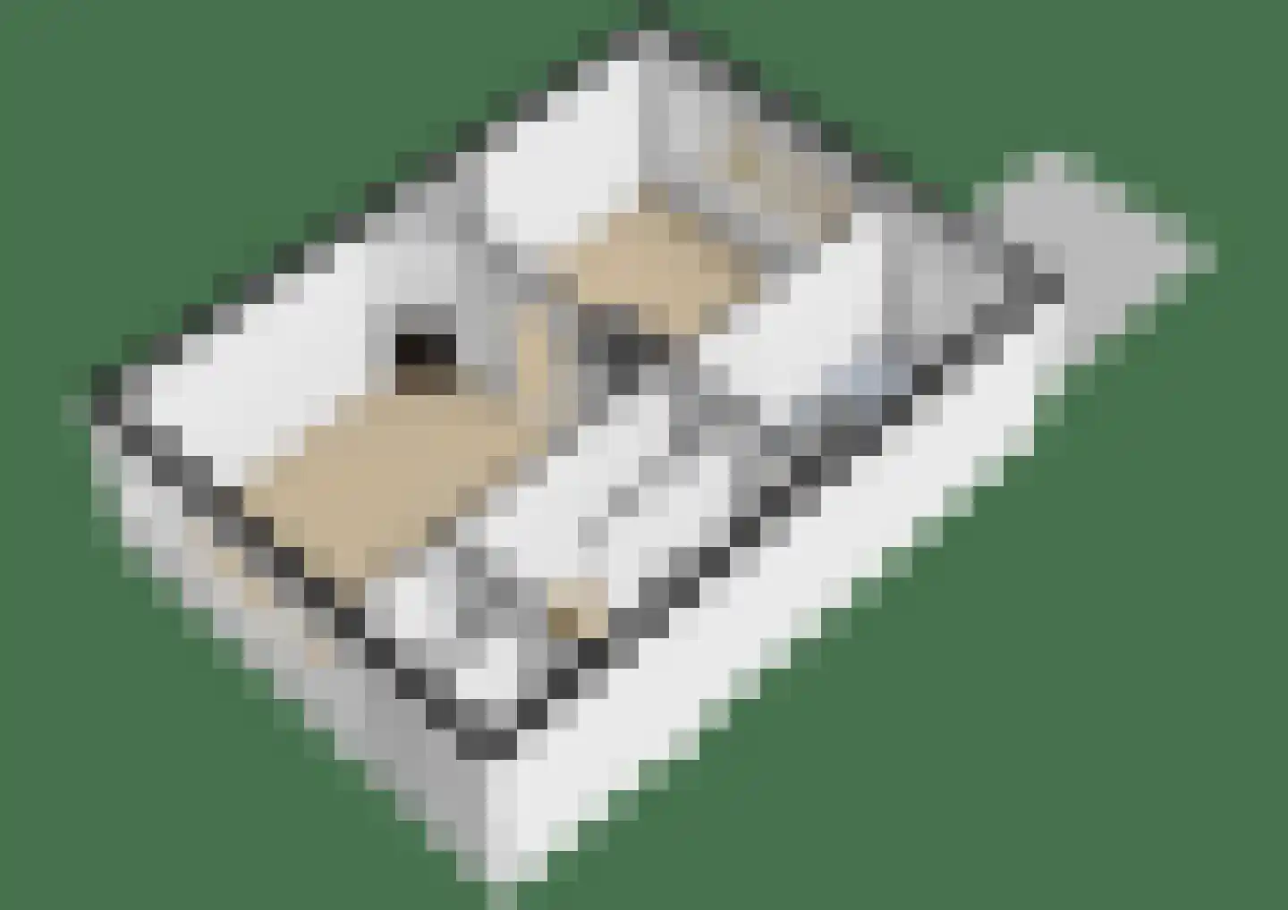 Kerkstraat 19 Groningen thumbnail 39