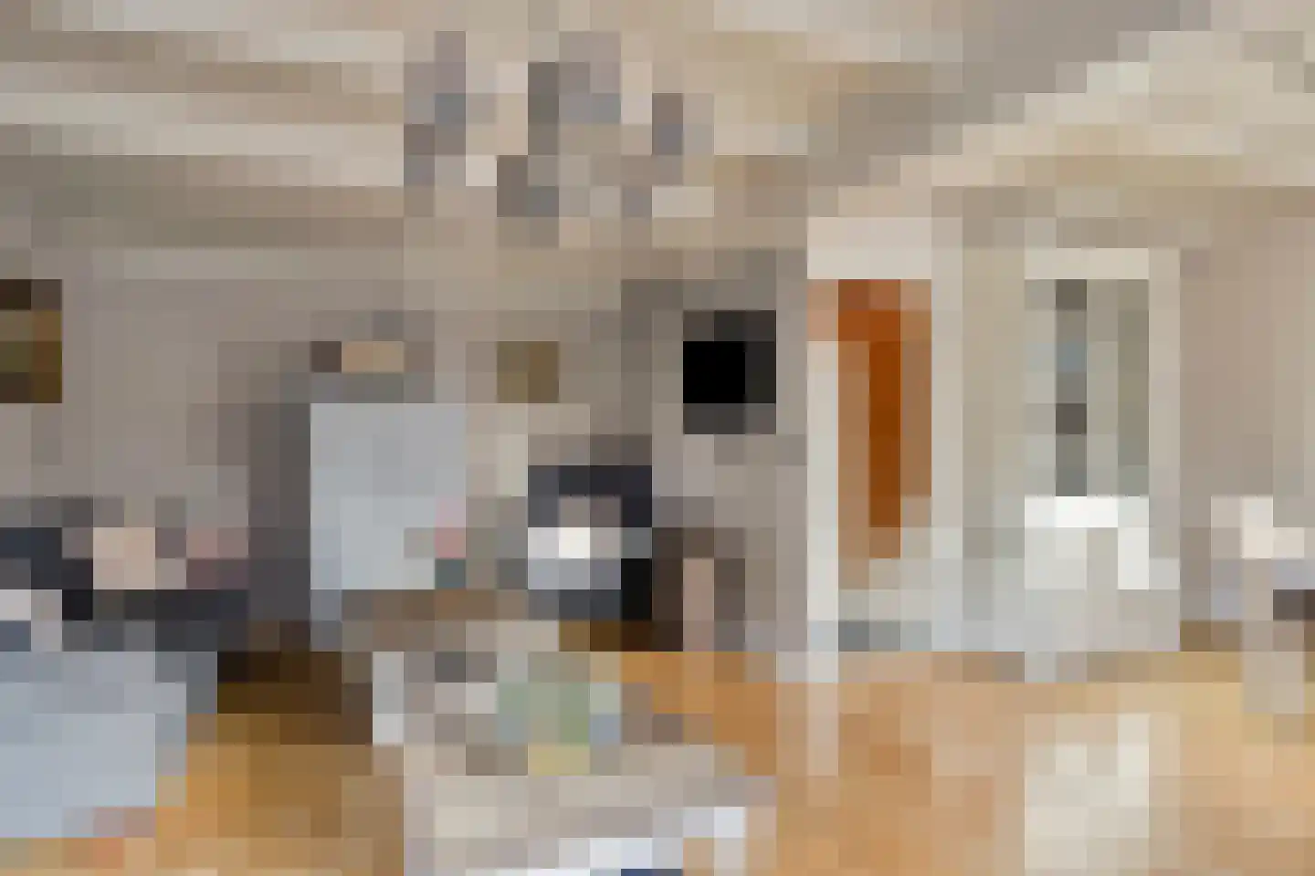 Kerkstraat 19 Groot-Ammers thumbnail 10