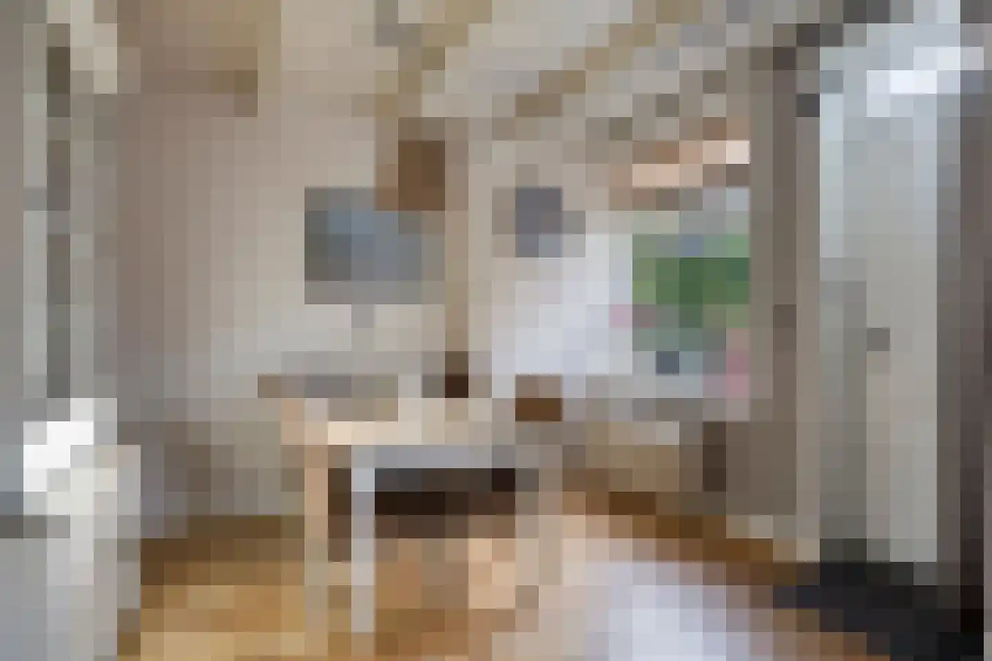Kerkstraat 19 Groot-Ammers thumbnail 12