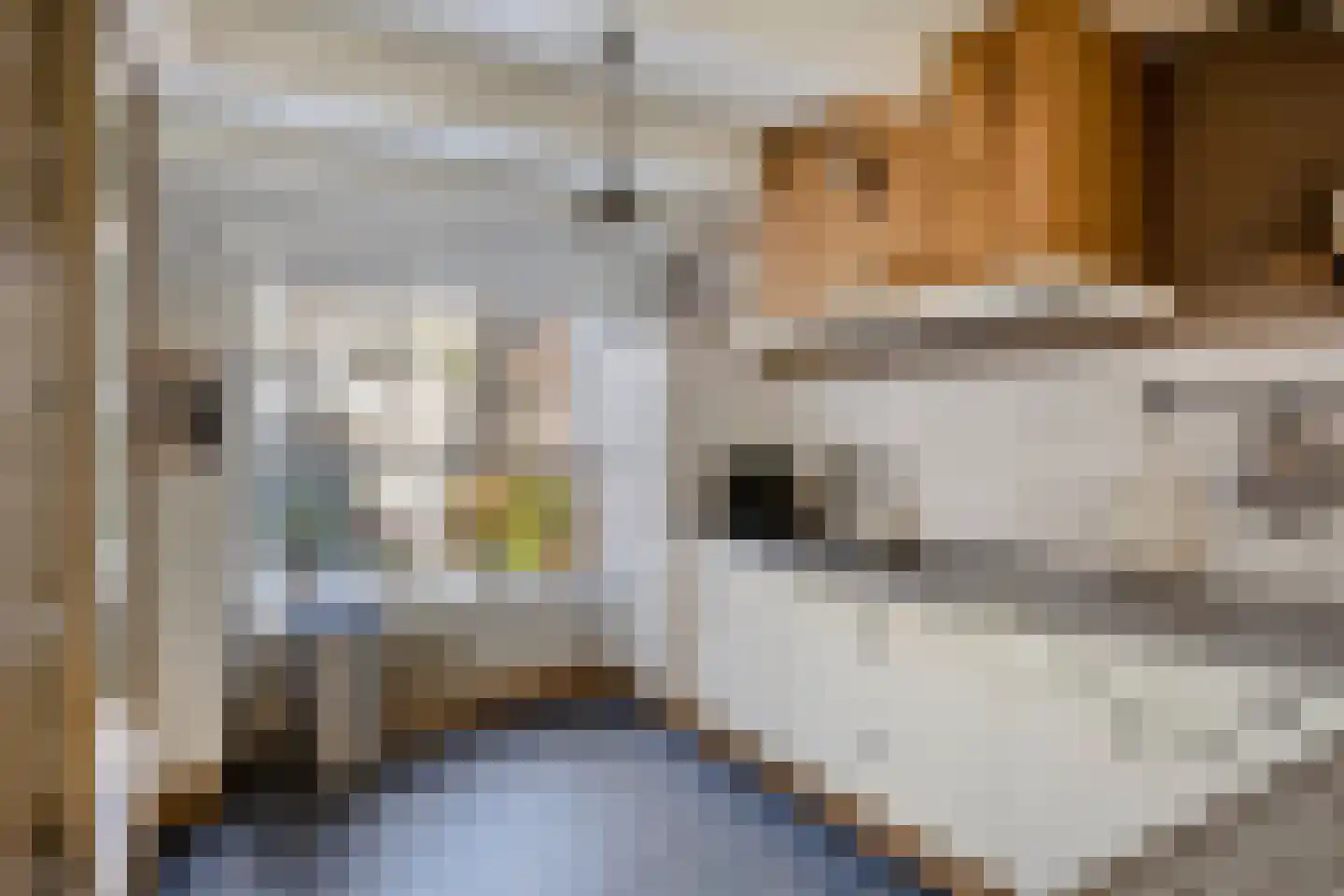 Kerkstraat 19 Groot-Ammers thumbnail 16
