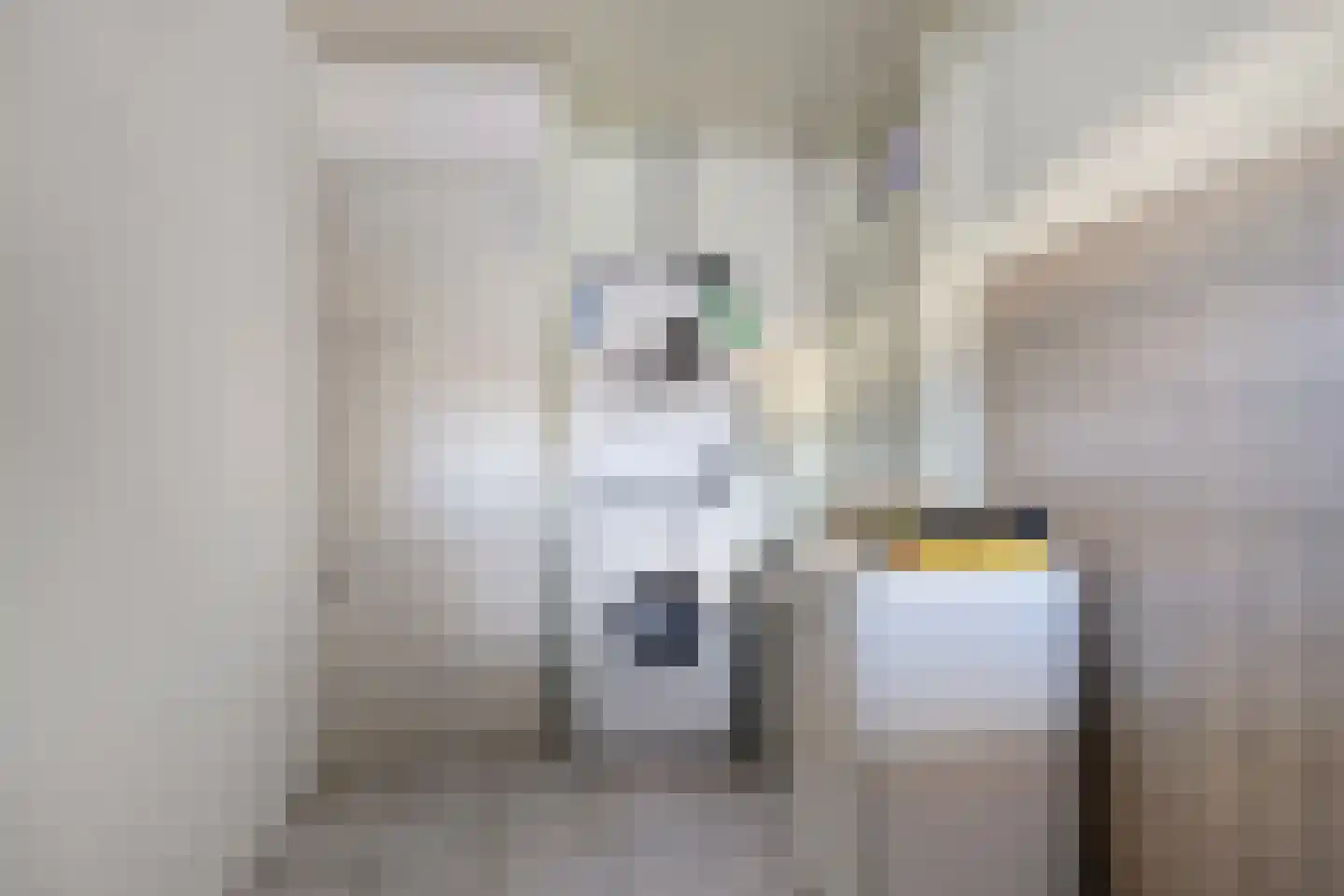 Kerkstraat 19 Groot-Ammers thumbnail 22