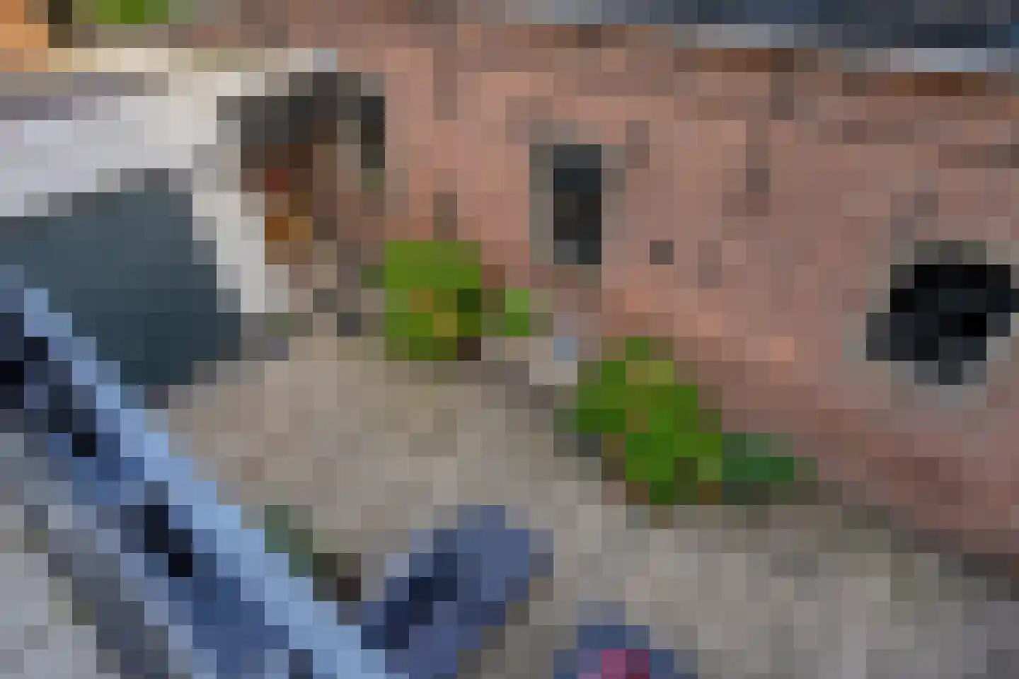 Kerkstraat 19 Groot-Ammers thumbnail 36