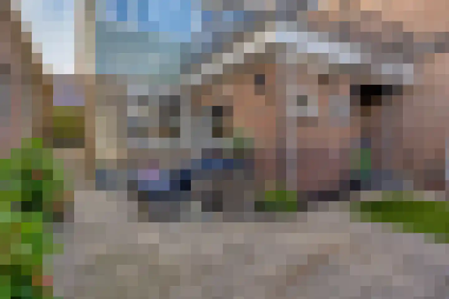 Kerkstraat 19 Groot-Ammers thumbnail 38