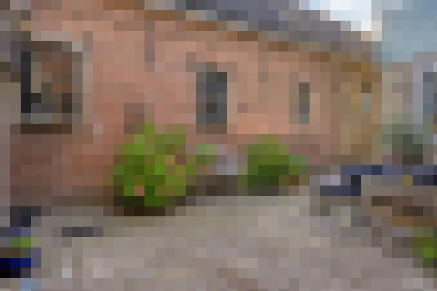 Kerkstraat 19 Groot-Ammers thumbnail 41