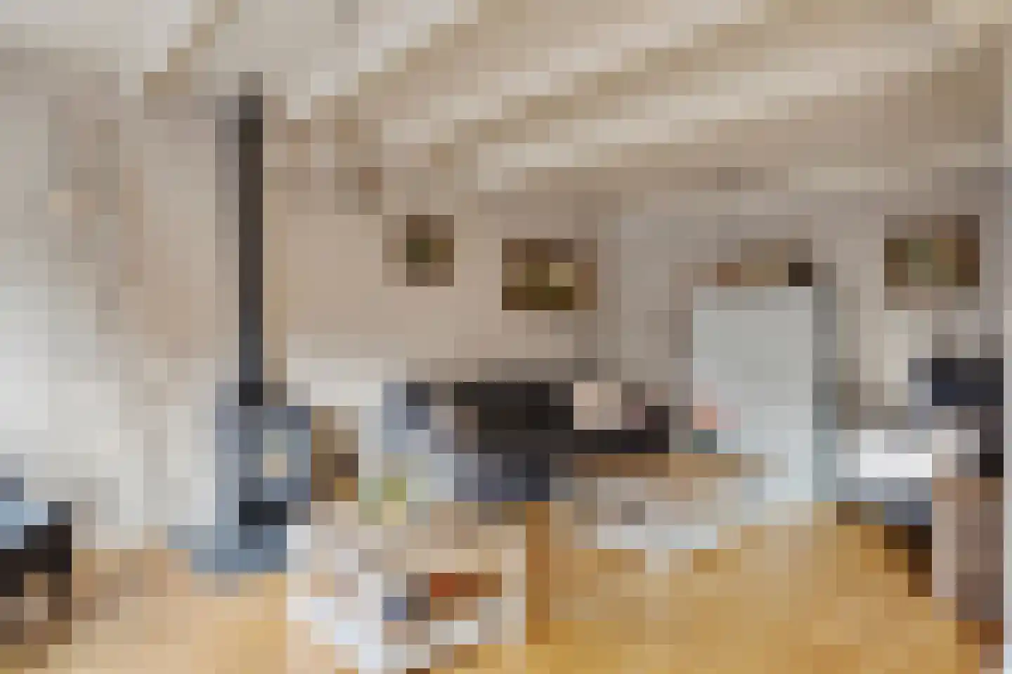 Kerkstraat 19 Groot-Ammers thumbnail 9