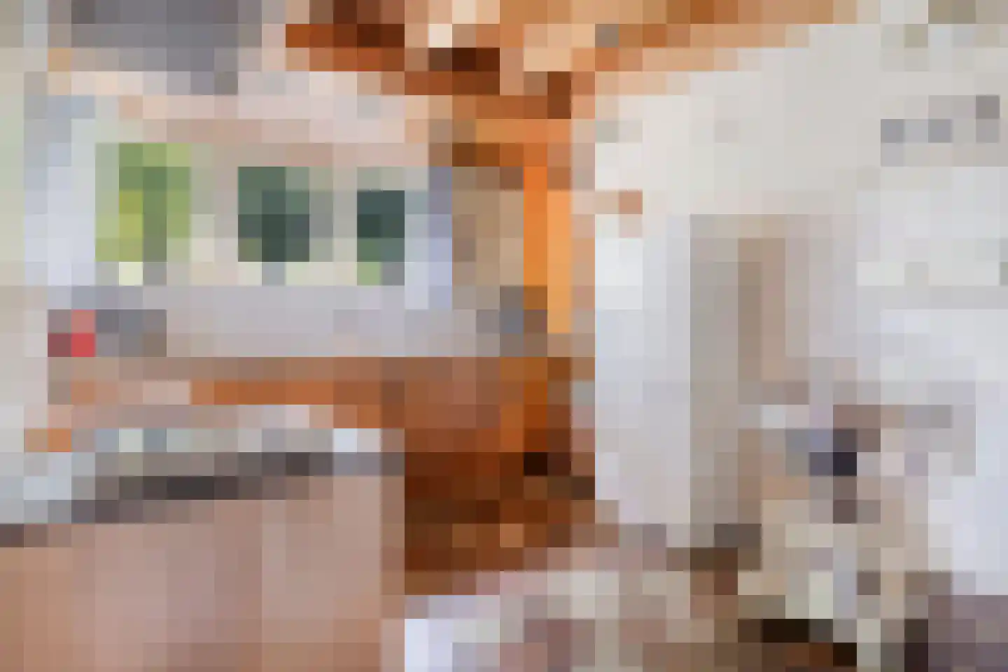 Kerkstraat 19 Meeden thumbnail 13