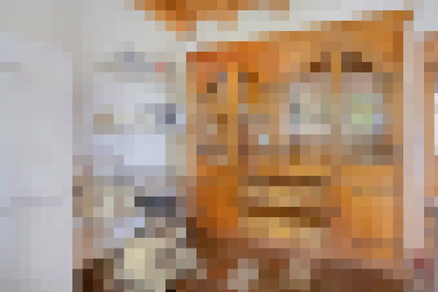 Kerkstraat 19 Meeden thumbnail 15