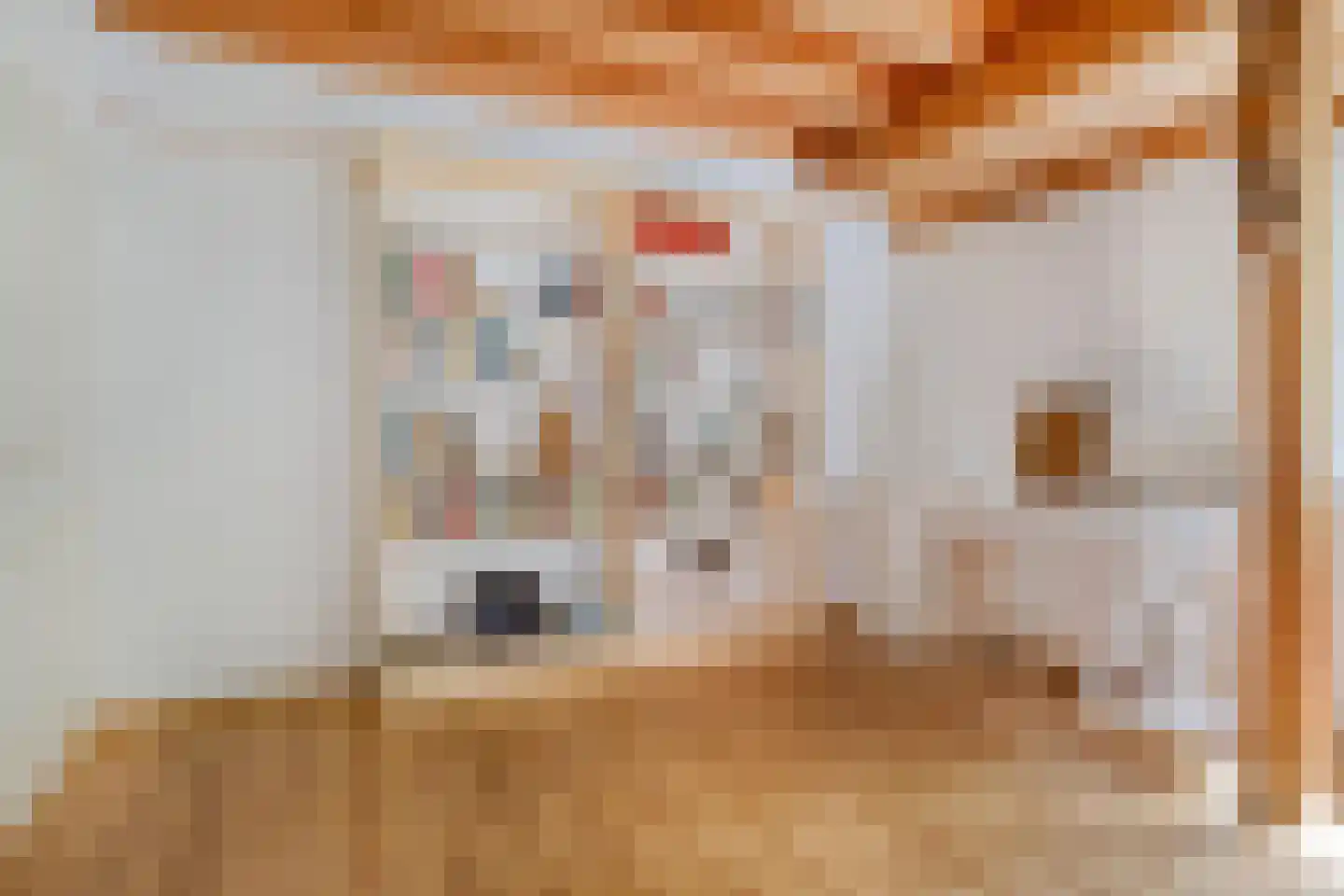 Kerkstraat 19 Meeden thumbnail 20