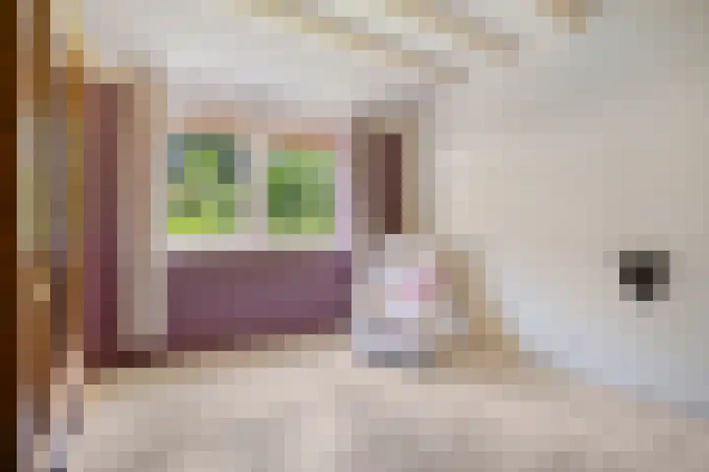Kerkstraat 19 Meeden thumbnail 21