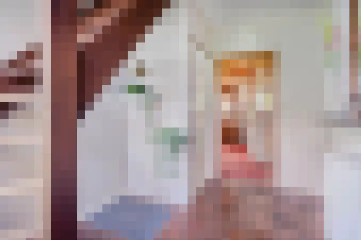 Kerkstraat 19 Meeden thumbnail 24
