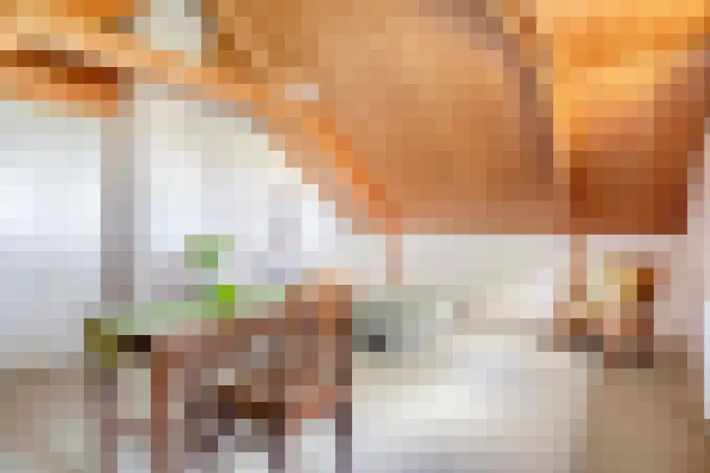 Kerkstraat 19 Meeden thumbnail 28