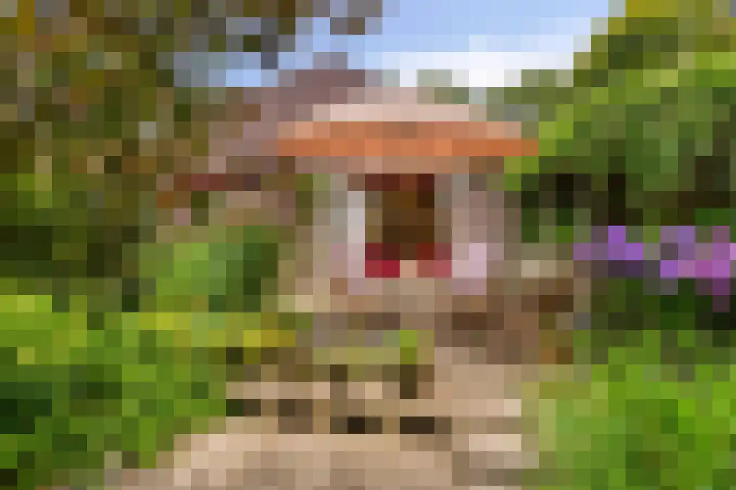 Kerkstraat 19 Meeden thumbnail 30