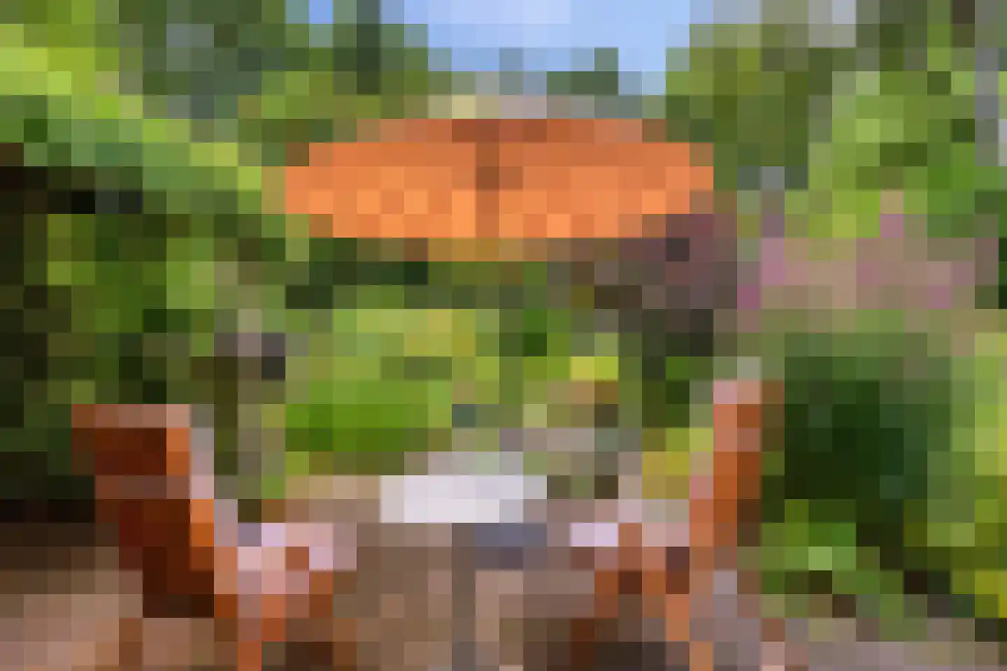 Kerkstraat 19 Meeden thumbnail 31