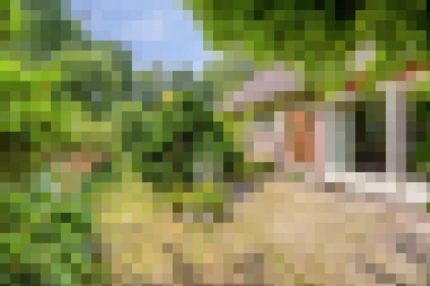 Kerkstraat 19 Meeden thumbnail 37