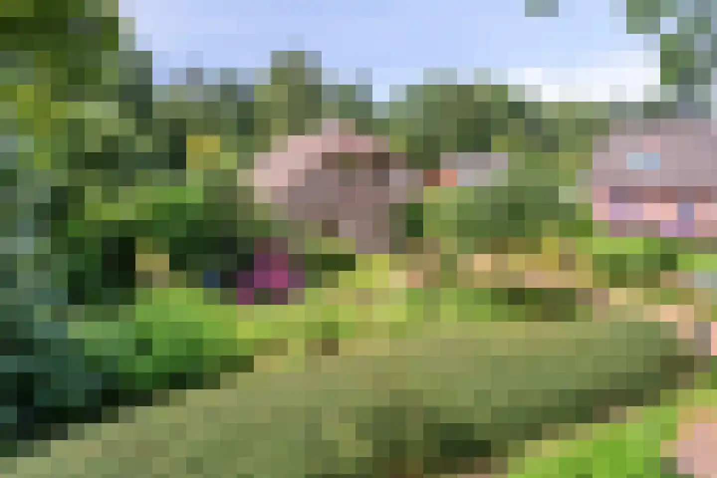 Kerkstraat 19 Meeden thumbnail 39