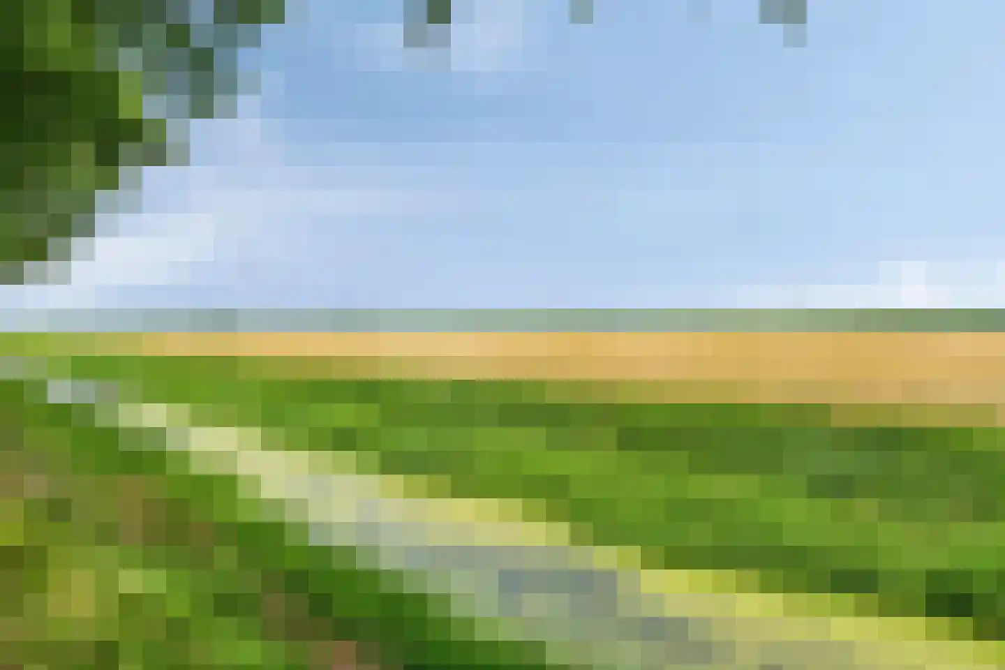 Kerkstraat 19 Meeden thumbnail 4