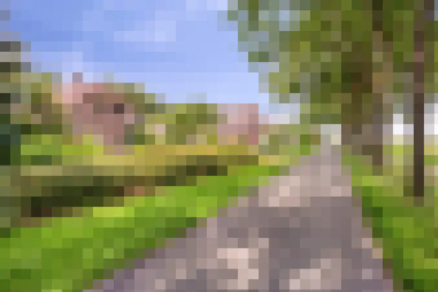 Kerkstraat 19 Meeden thumbnail 5