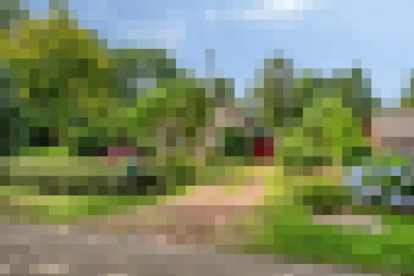 Kerkstraat 19 Meeden thumbnail 6
