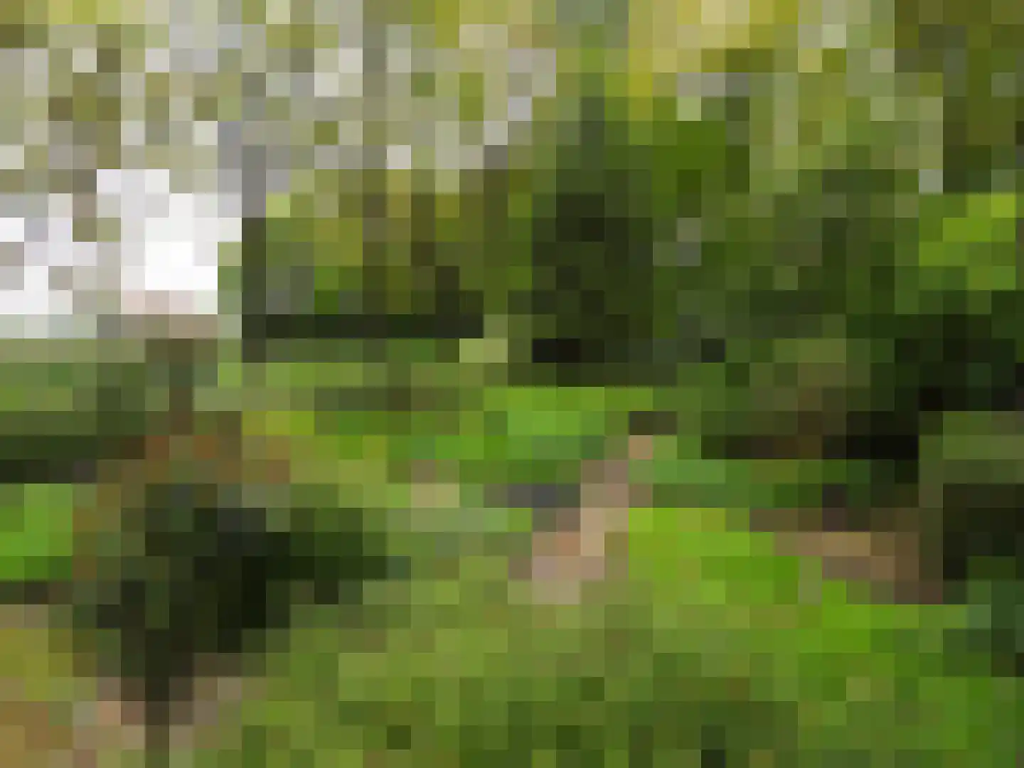 Kerkstraat 19 Meeden thumbnail 7