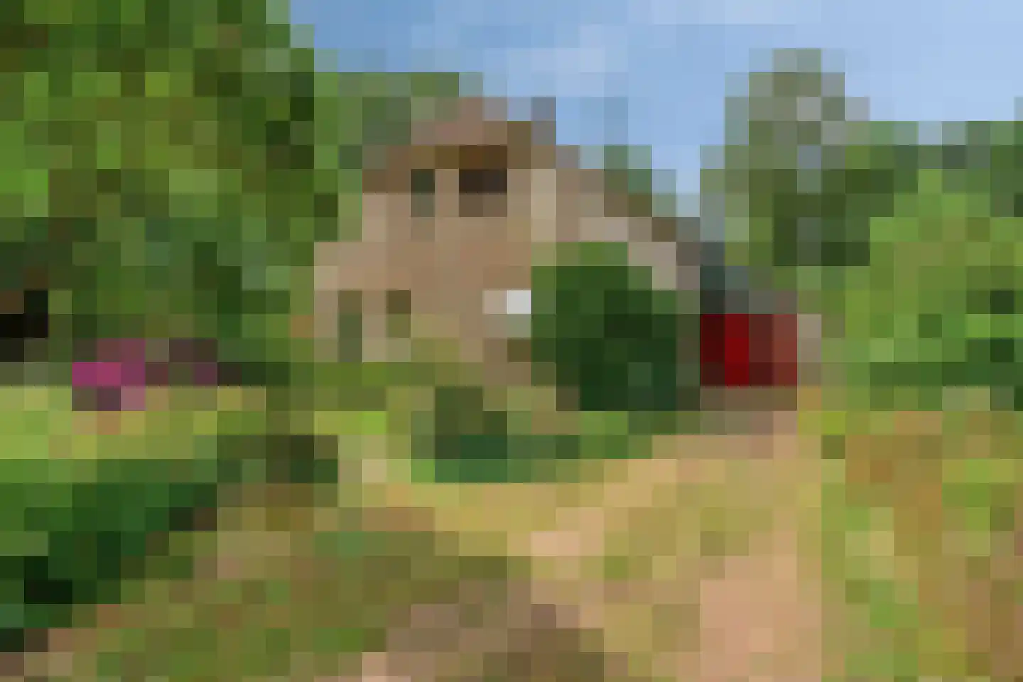 Kerkstraat 19 Meeden thumbnail 8