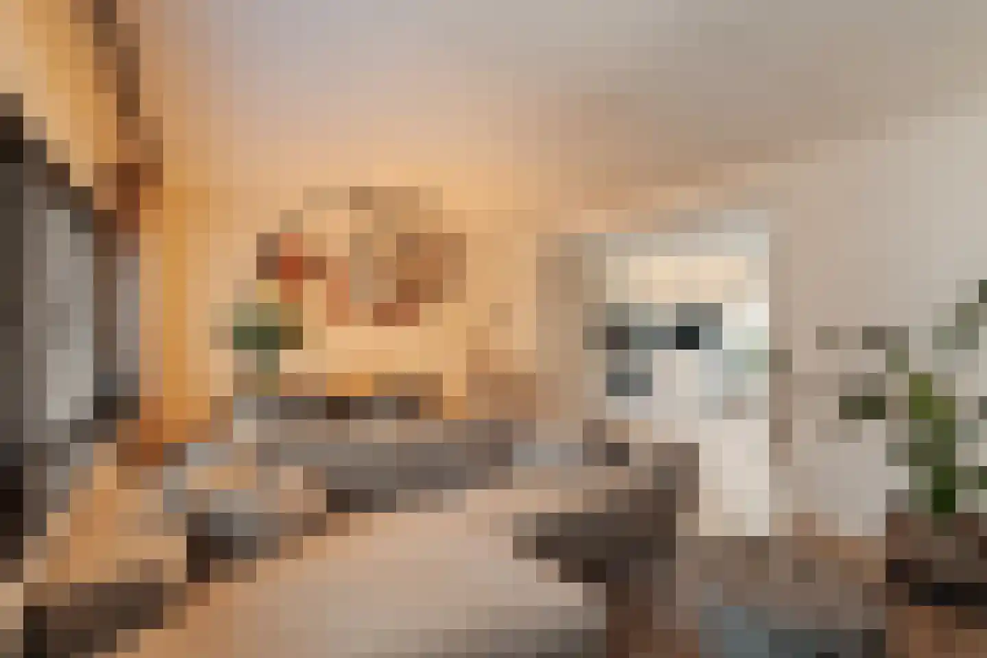 Kerkstraat 19 Noordwijk thumbnail 8