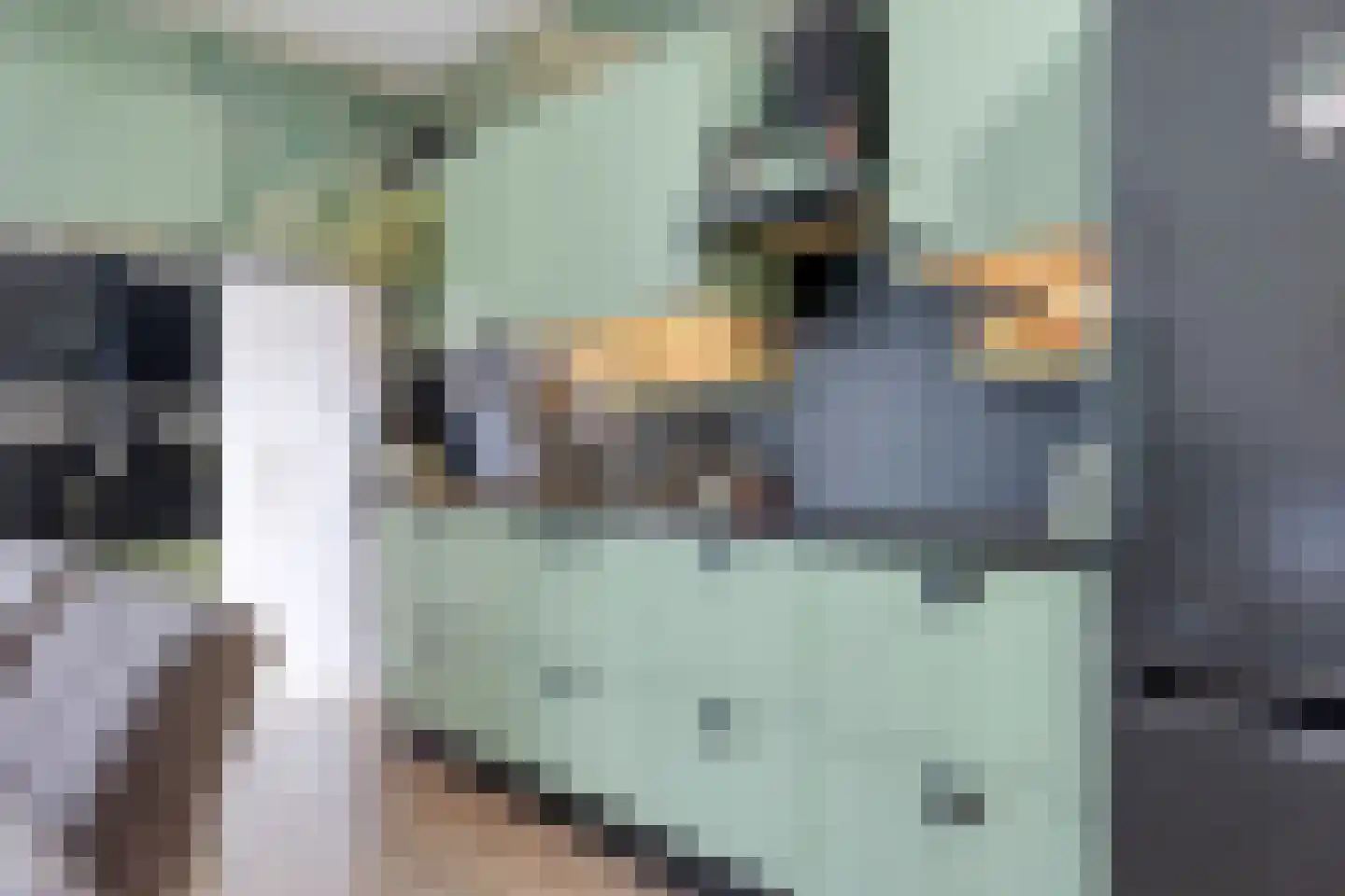 Kerkstraat 19 Scherpenisse thumbnail 15