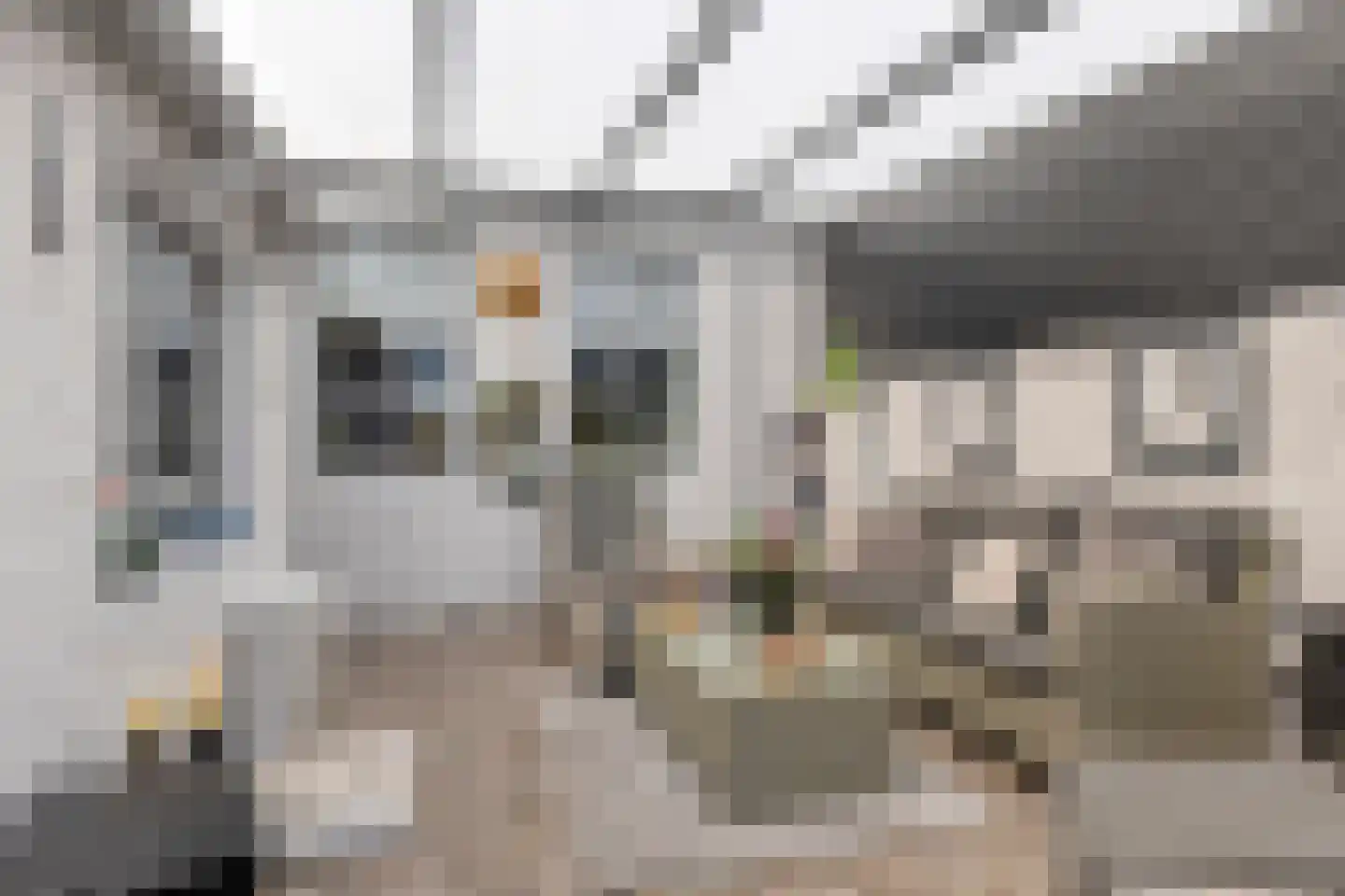 Kerkstraat 19 Scherpenisse thumbnail 19