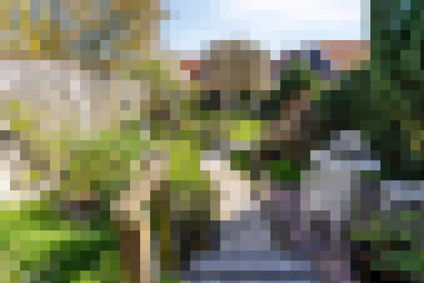 Kerkstraat 19 Scherpenisse thumbnail 21