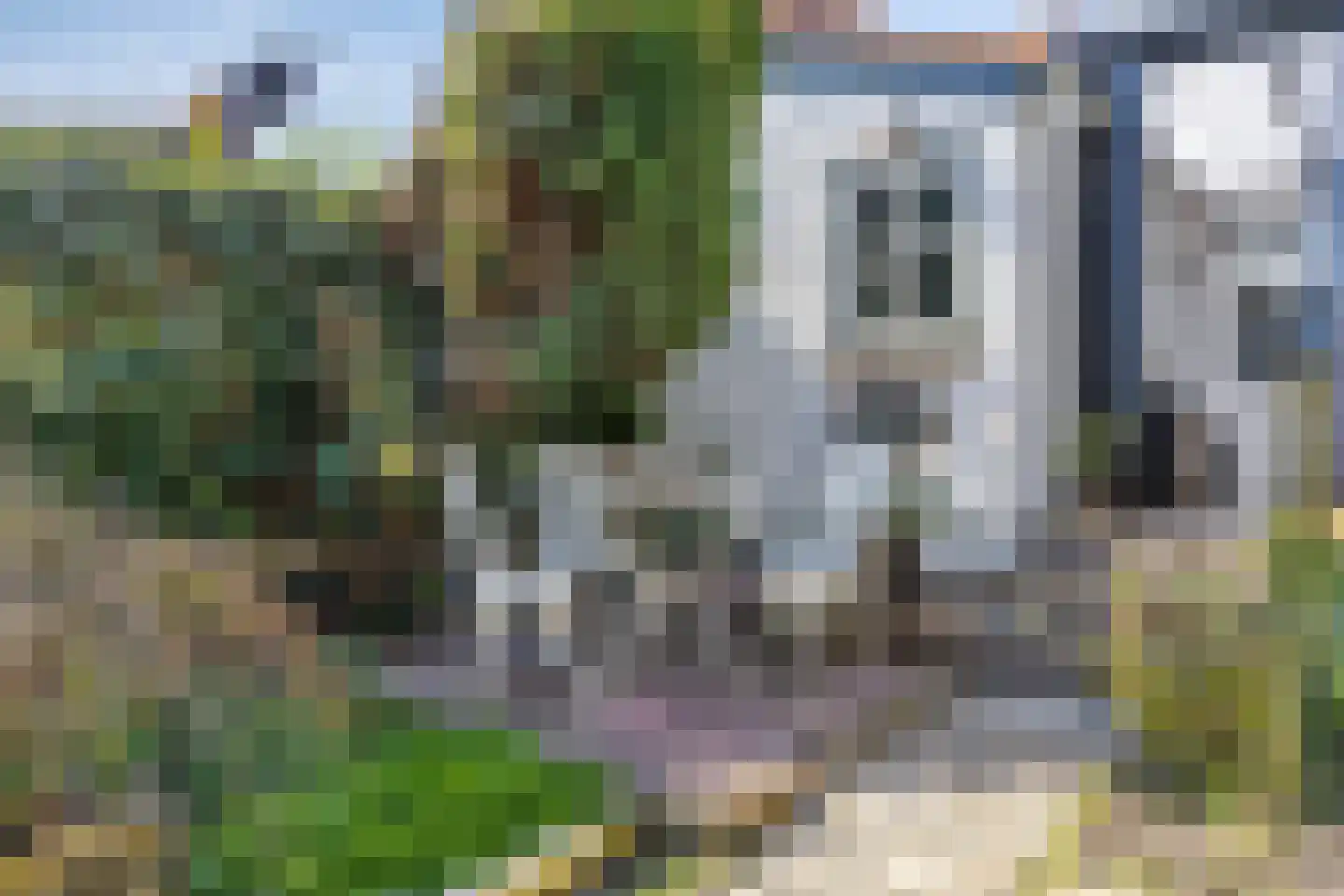 Kerkstraat 19 Scherpenisse thumbnail 29