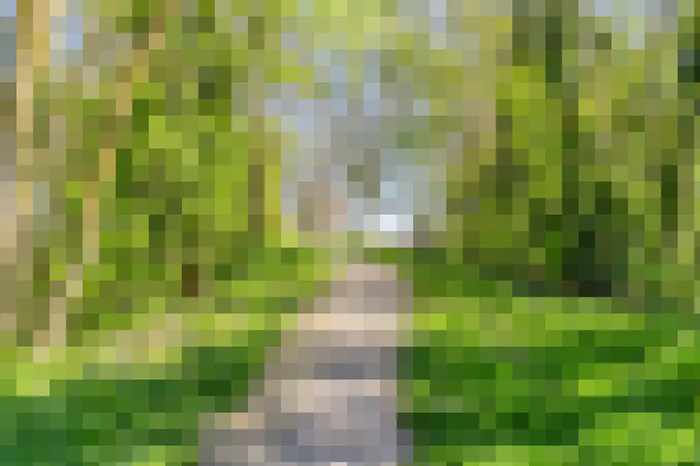 Kerkstraat 19 Scherpenisse thumbnail 33
