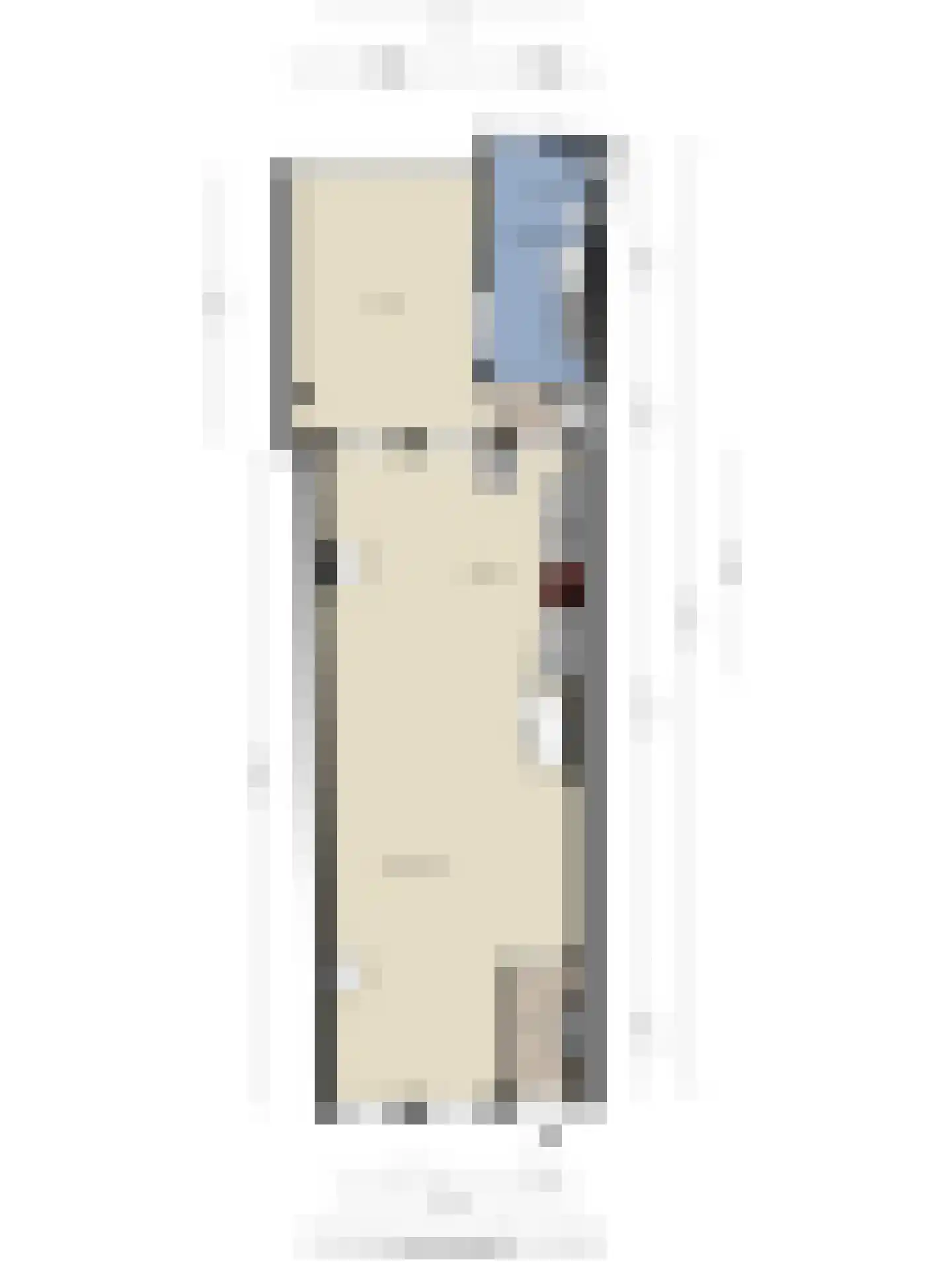 Kerkstraat 19 Scherpenisse thumbnail 36