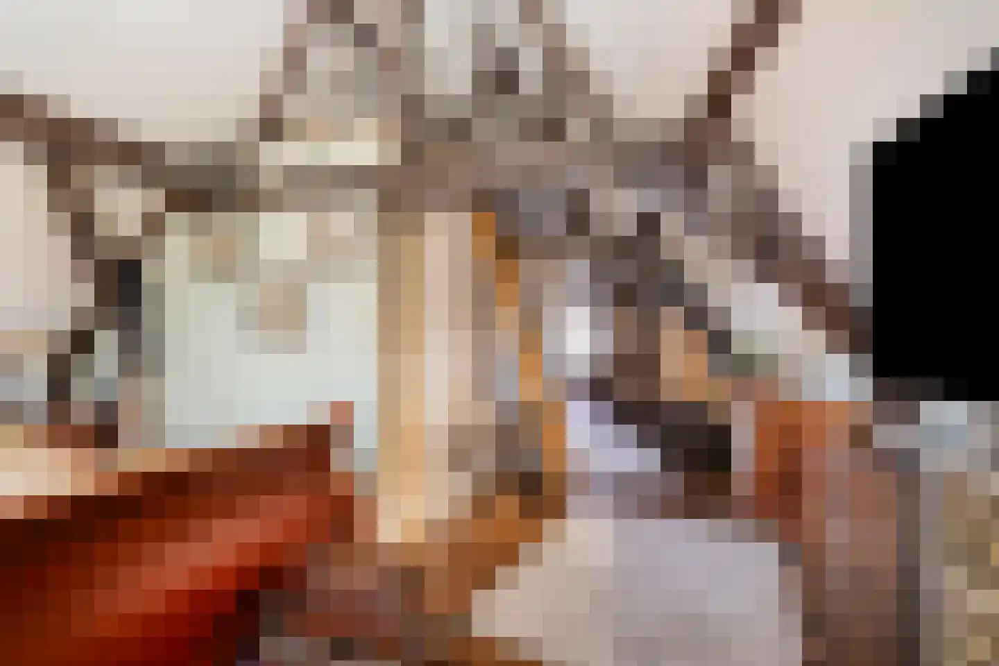Kerkstraat 19 Scherpenisse thumbnail 6