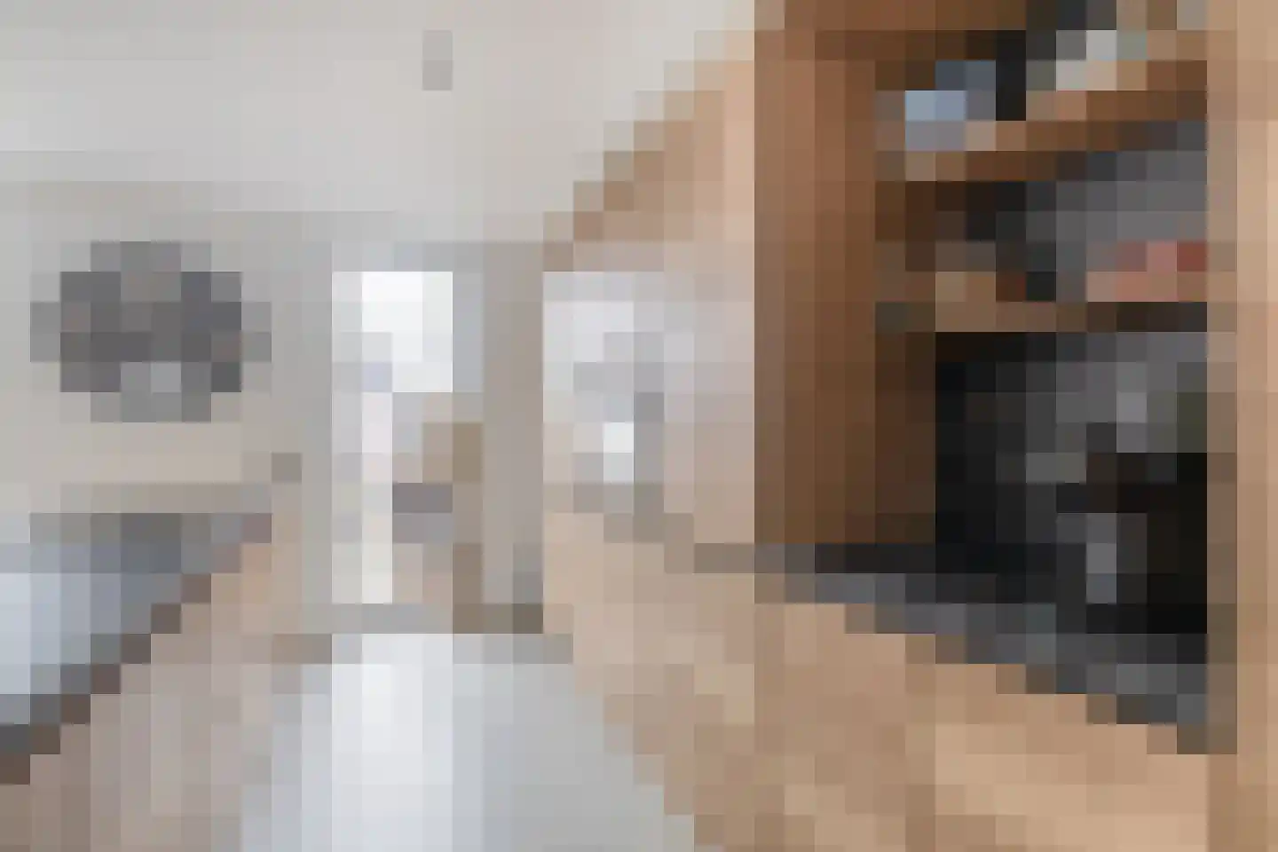 Kerkstraat 19 Tegelen thumbnail 10
