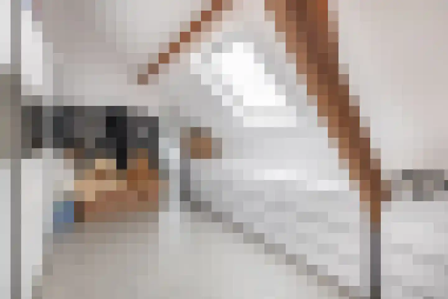 Kerkstraat 19 Tegelen thumbnail 15