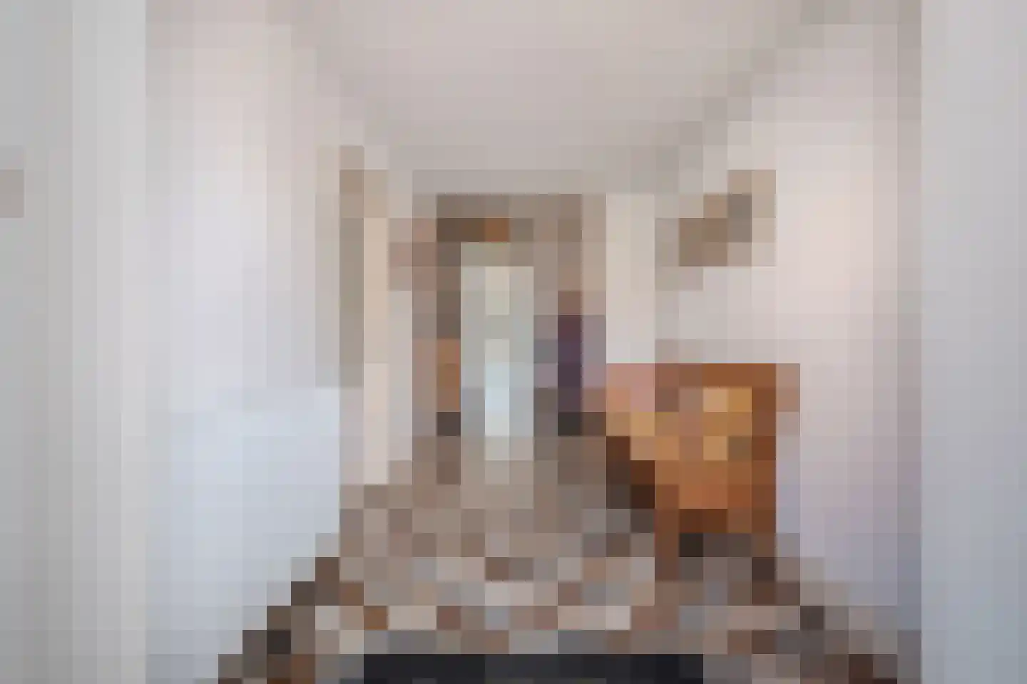 Kerkstraat 19 Tjerkwerd thumbnail 12