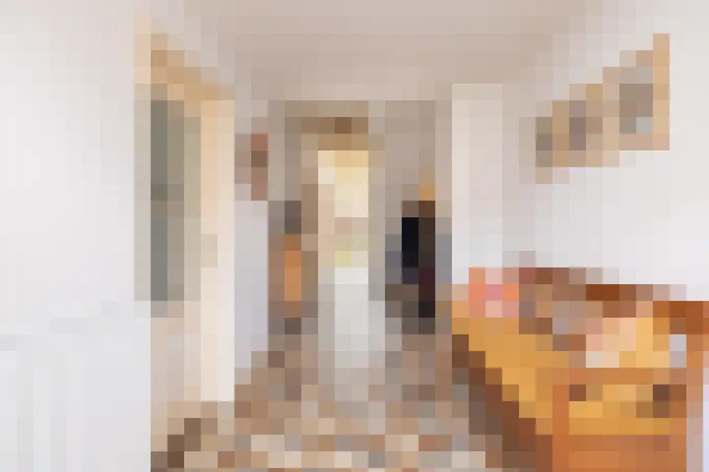 Kerkstraat 19 Tjerkwerd thumbnail 12