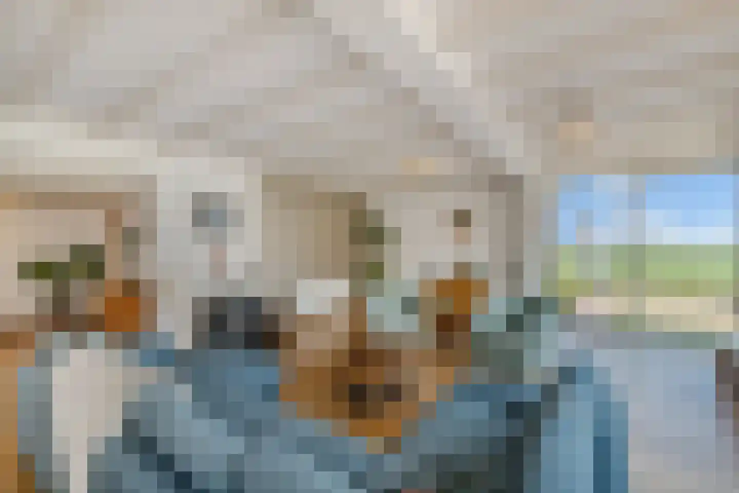 Kerkstraat 19 Tjerkwerd thumbnail 16
