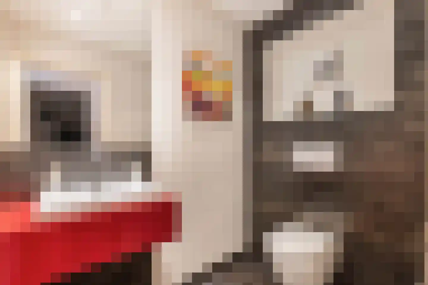 Kerkstraat 19 Tjerkwerd thumbnail 22