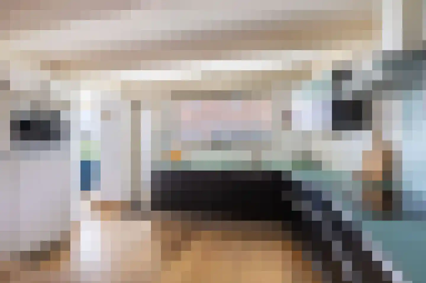 Kerkstraat 19 Tjerkwerd thumbnail 26