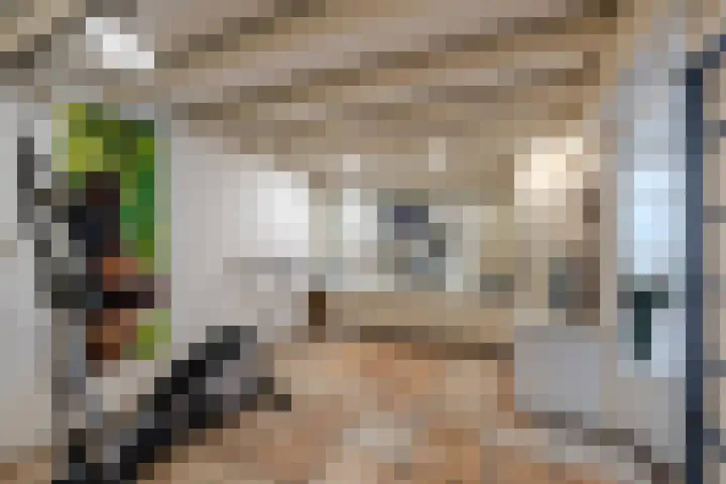 Kerkstraat 19 Tjerkwerd thumbnail 30