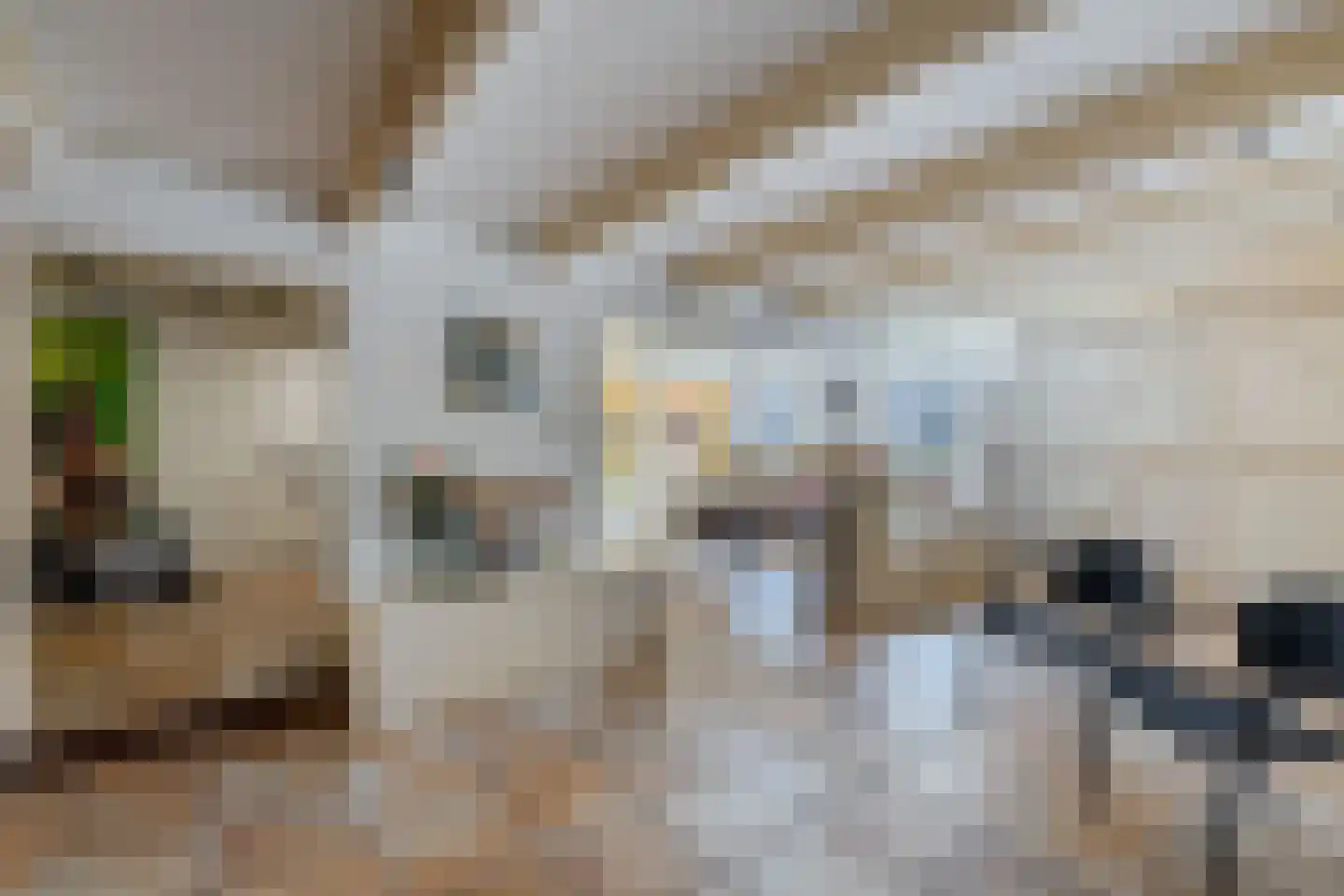 Kerkstraat 19 Tjerkwerd thumbnail 32