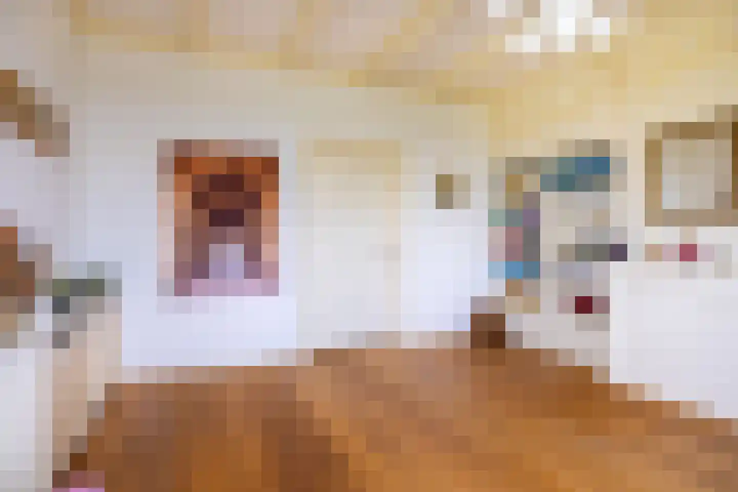 Kerkstraat 19 Tjerkwerd thumbnail 36