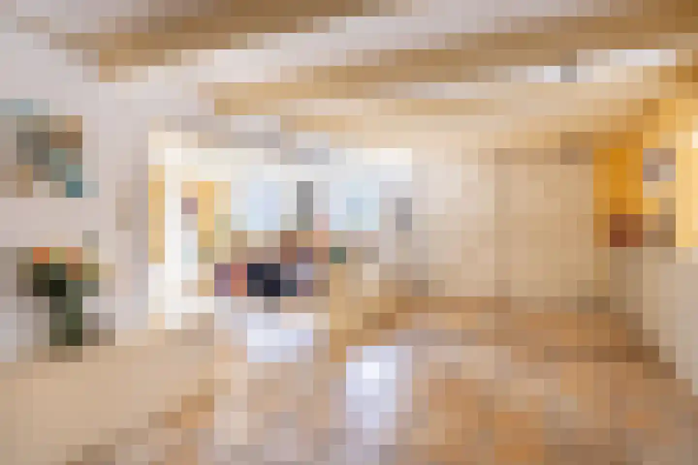Kerkstraat 19 Tjerkwerd thumbnail 37