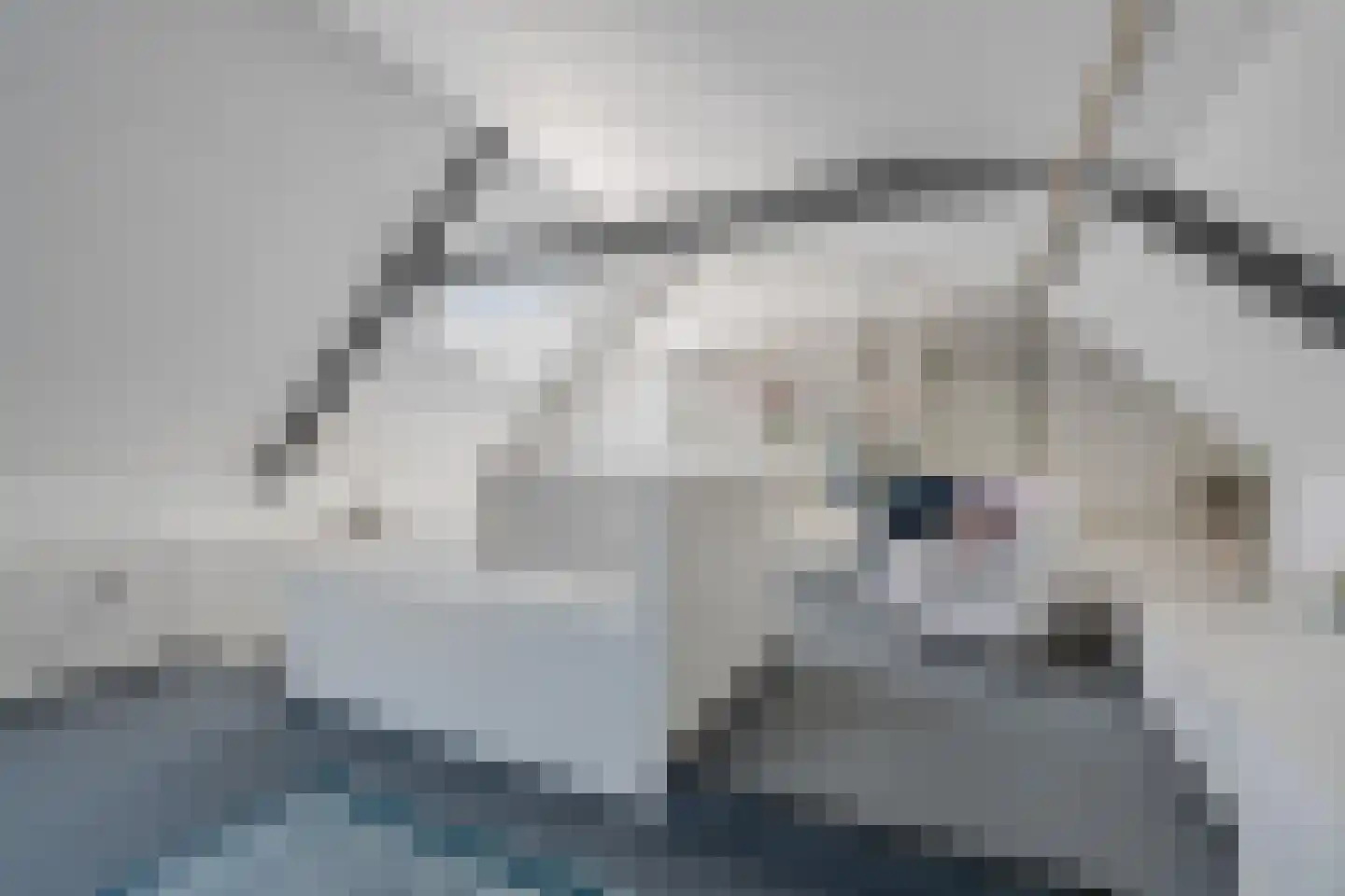Kerkstraat 19 Tjerkwerd thumbnail 42