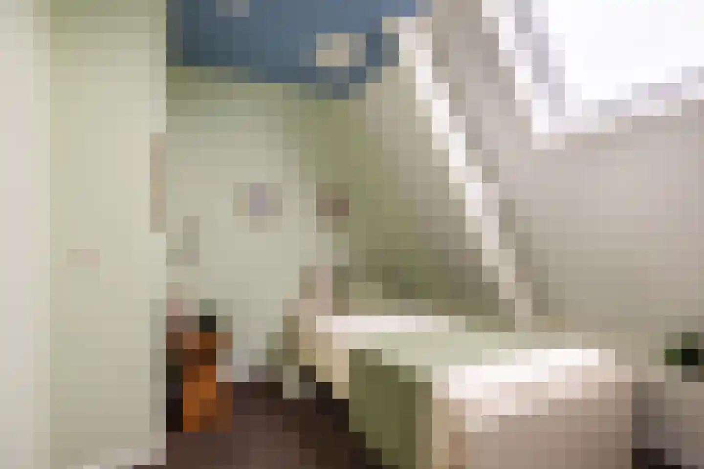 Kerkstraat 19 Tjerkwerd thumbnail 46